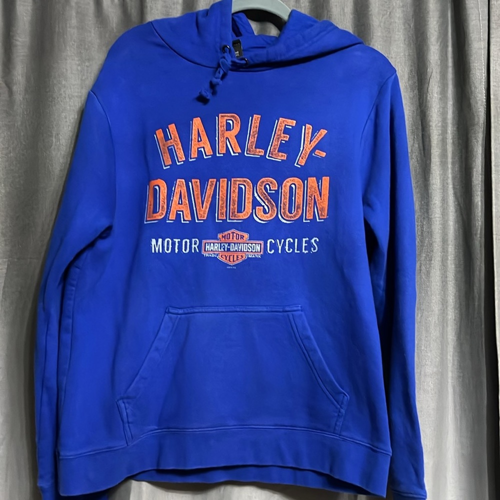 Vintage men’s Harley-Davidson hoodie  size Large